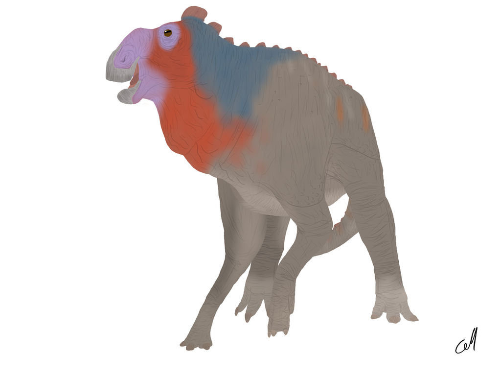 Gryposaurus monumentensis by sphenaphinae on DeviantArt