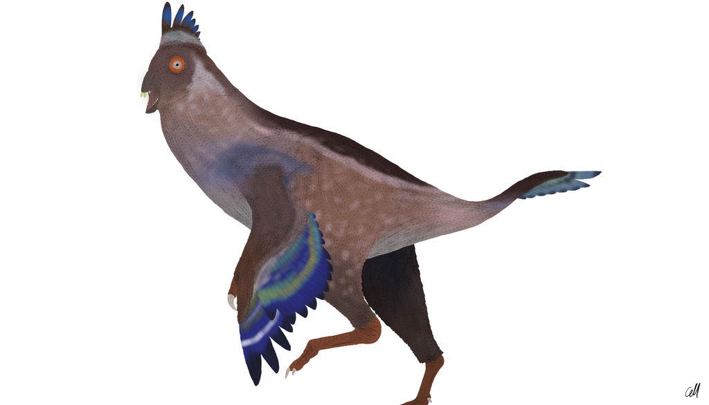 Prehistoric Park Ep 3.3: Incisivosaurus gauthieri by sphenaphinae on DeviantArt