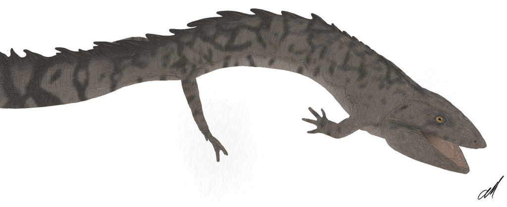 Primeval Se4 Ep 5 1 Eogyrinus Attheyi By Sphenaphinae On DeviantArt primeval-se4-ep-5-1-eogyrinus-attheyi-by-sphenaphinae-on-deviantart