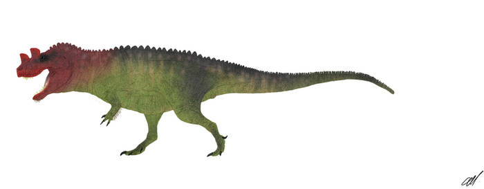 Ceratosaurus 'dentisulcatus'