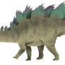 Stegosaurus stenops 2.0