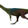 Coelophysis bauri Male