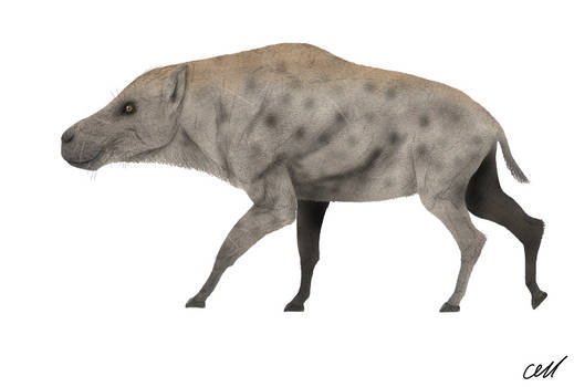 Explore the Best Daeodon Art | DeviantArt