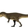 Saurophaganax (Allosaurus?) maximus