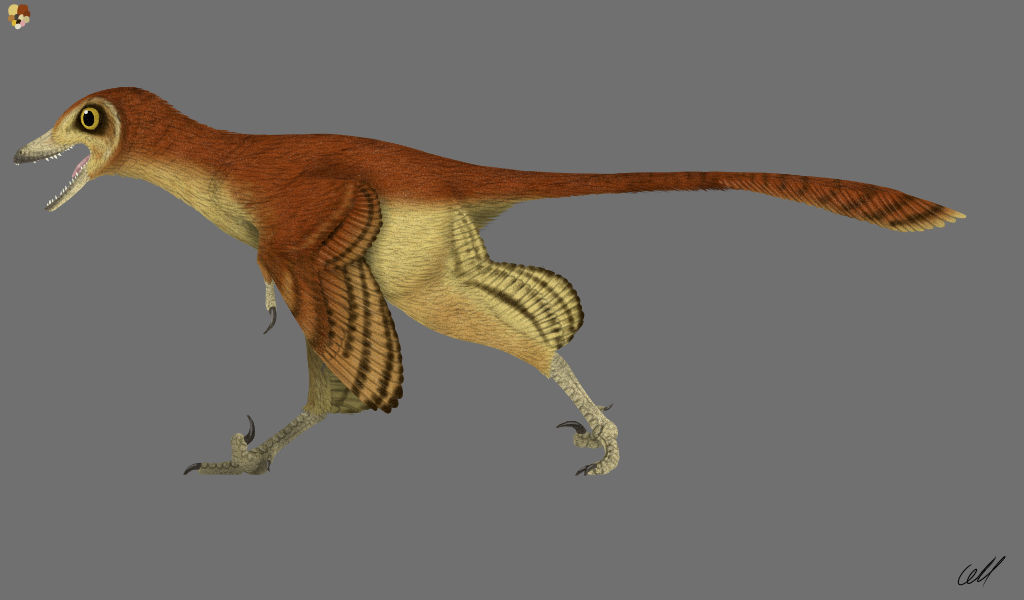 Sinornithosaurus Sinornithosaurus millenii by sphenaphinae on DeviantArt