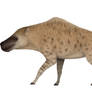 Andrewsarchus mongoliensis