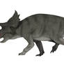 Avaceratops lammersi