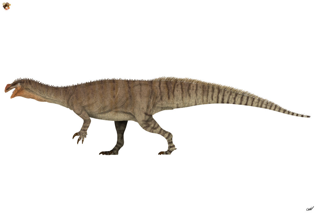 Plateosaurus engelhardti 2.0 by sphenaphinae on DeviantArt