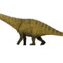 Apatosaurus louisae