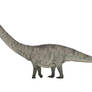 Dinheirosaurus (Supersaurus) lourinhanensis