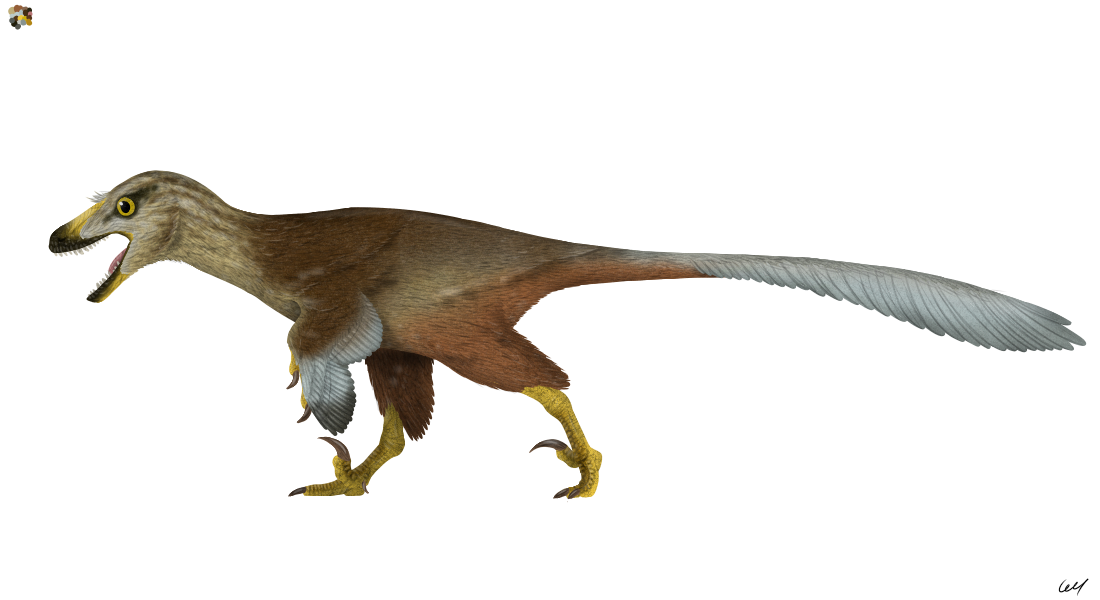 Dinovember Day 9: Dineobellator by sphenaphinae on DeviantArt