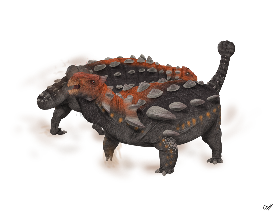 Talarurus Dinovember Day 11: Talarurus by sphenaphinae on DeviantArt