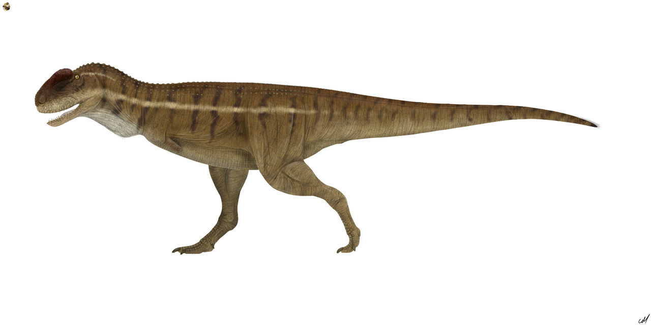 Rugops primus by sphenaphinae on DeviantArt