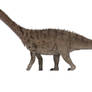 Haplocanthosaurus priscus