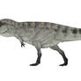 Giganotosaurus carolinii 3.0