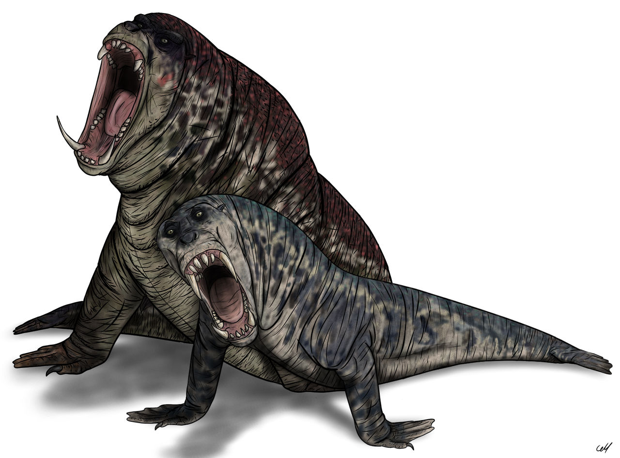 Mer-creature by sphenaphinae on DeviantArt