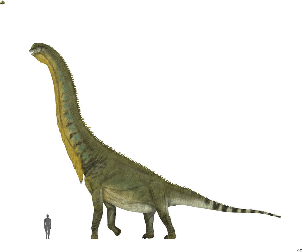 Brachiosaurus altithorax 3.0 by sphenaphinae on DeviantArt