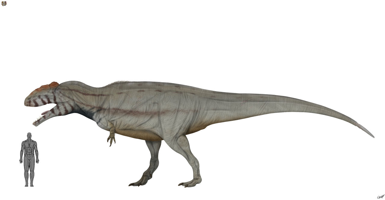 Mapusaurus roseae by sphenaphinae on DeviantArt