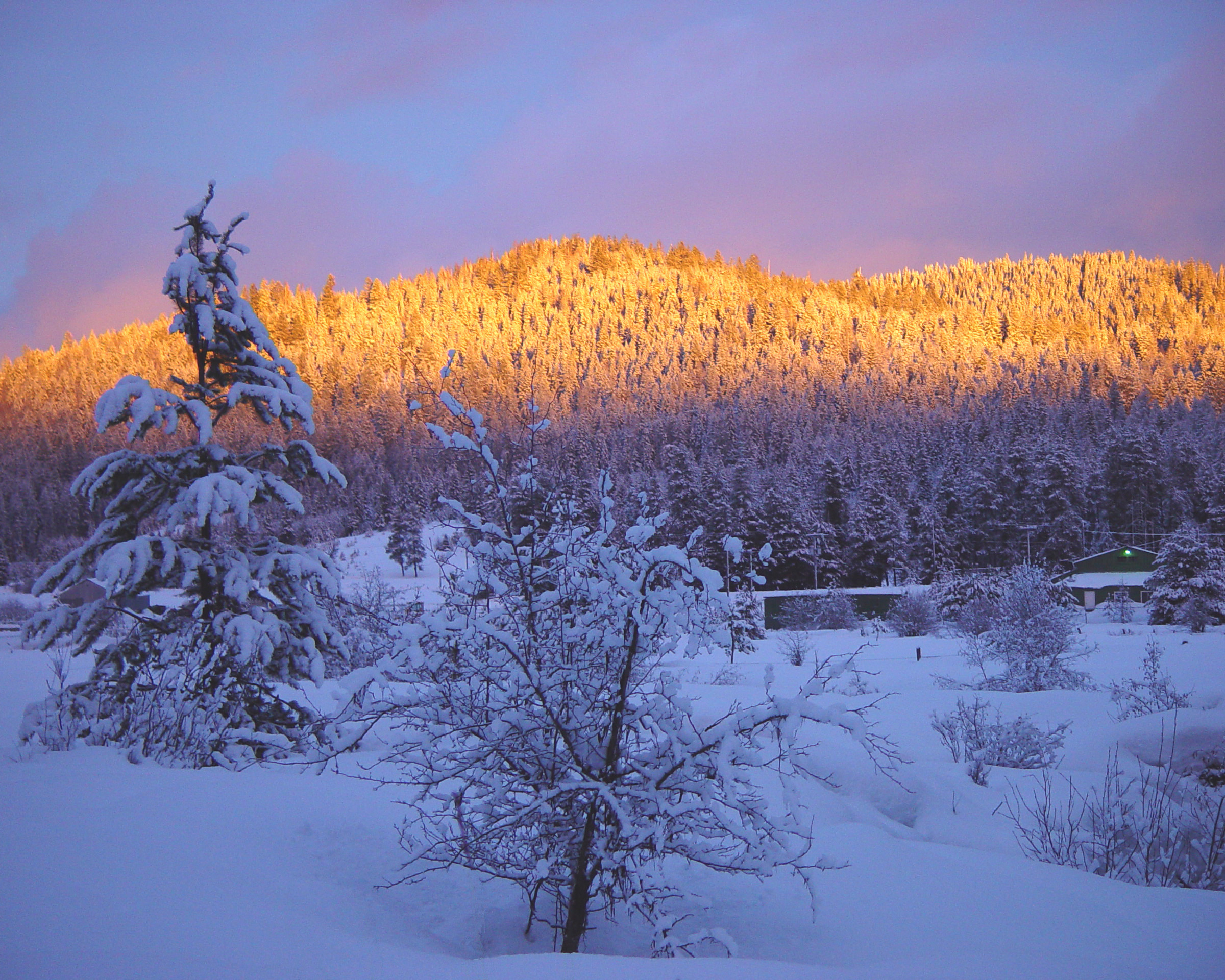 Winter Sunset - moment in Time