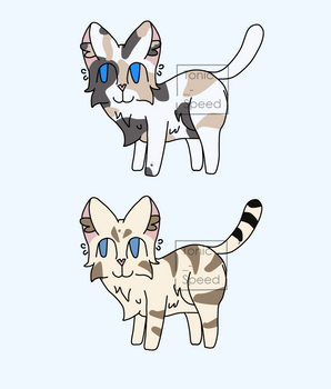 Simple cat adoptables | Set price | Closed