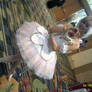 Princess Tutu