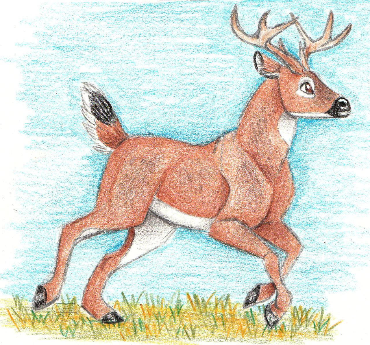 Drawing Buck Rabbit Whitetail Buck by xSentientStardustx on DeviantArt