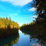 Fall at the river