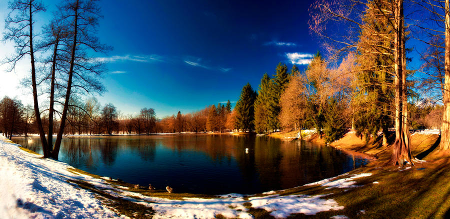 Winter lake