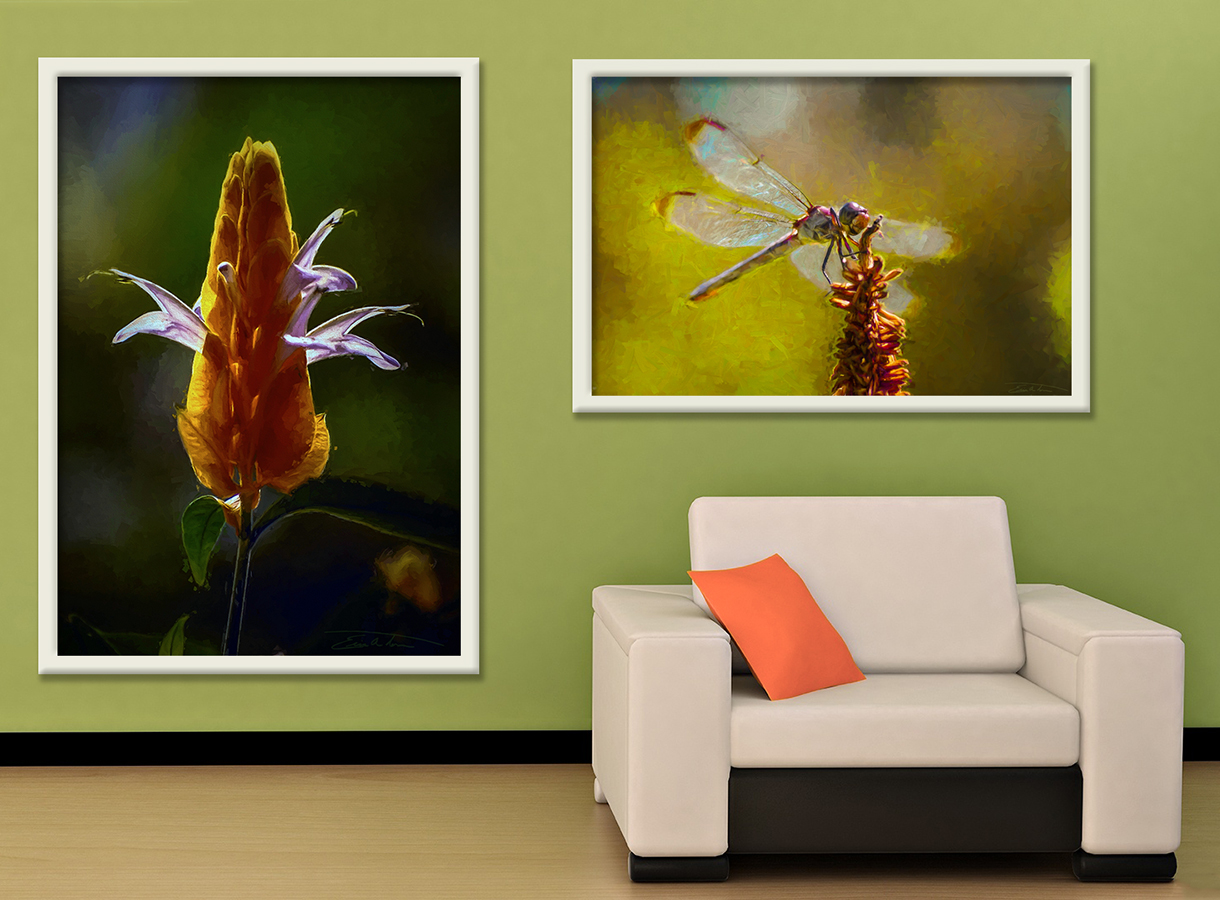 Nature Images (on wall)