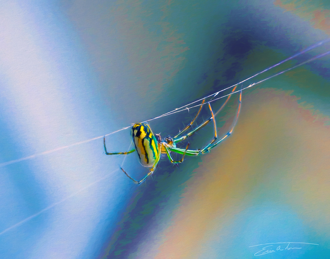 Tiny Green Spider II