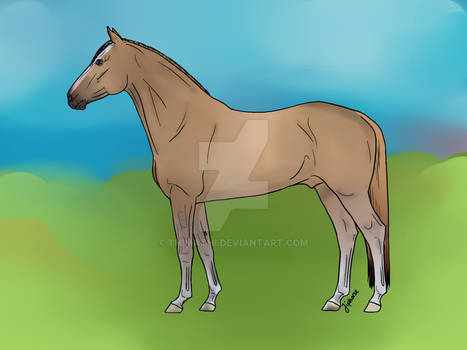 Ahokan - Adopted Horse OC