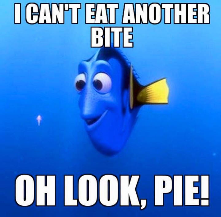 I can't eat another bite. Oh look, PIE!