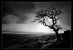 Still Lonely by didumdidum