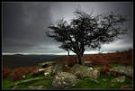 What a Grey Day by didumdidum