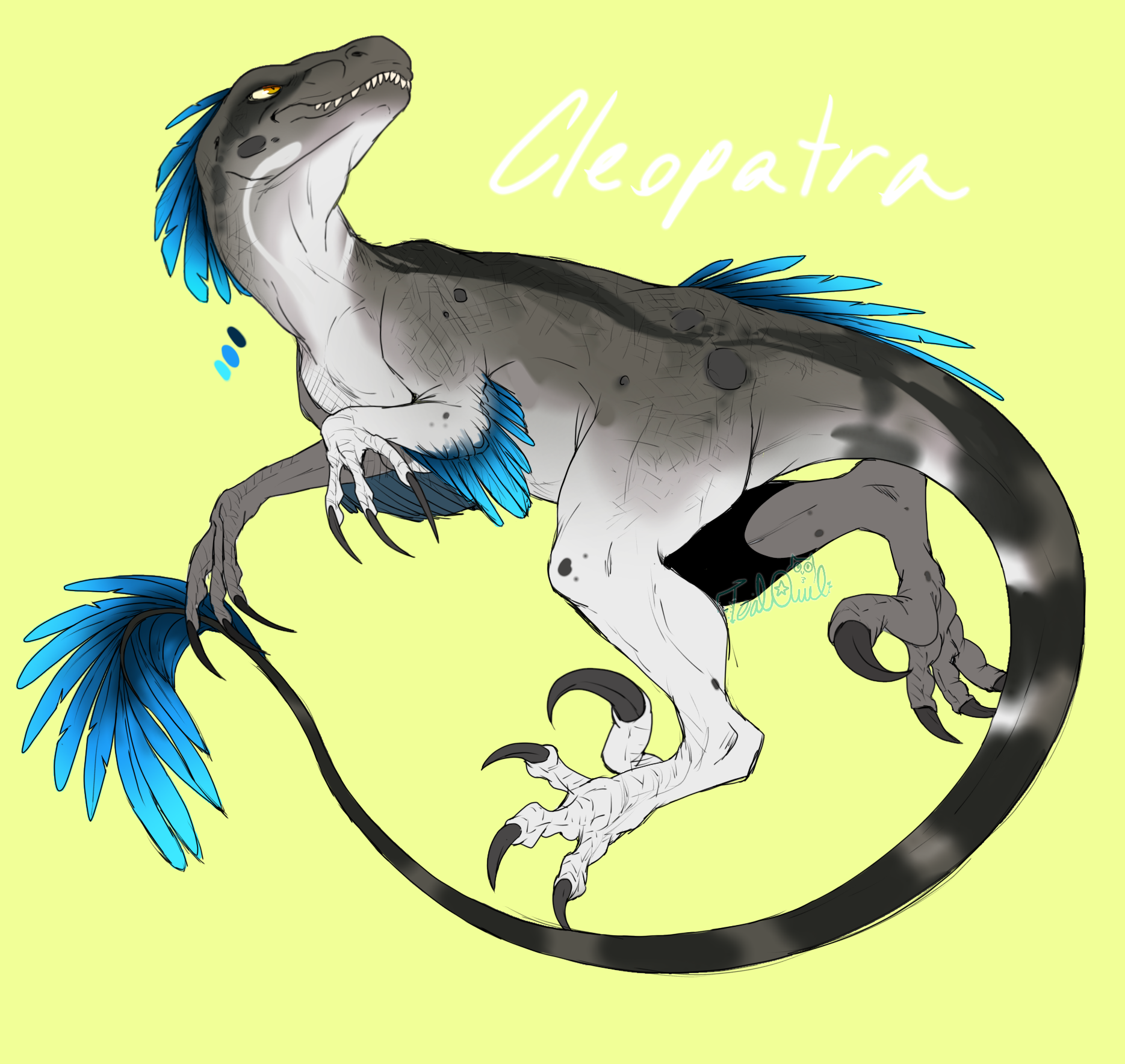 Cleo redesign by Tytofi on DeviantArt