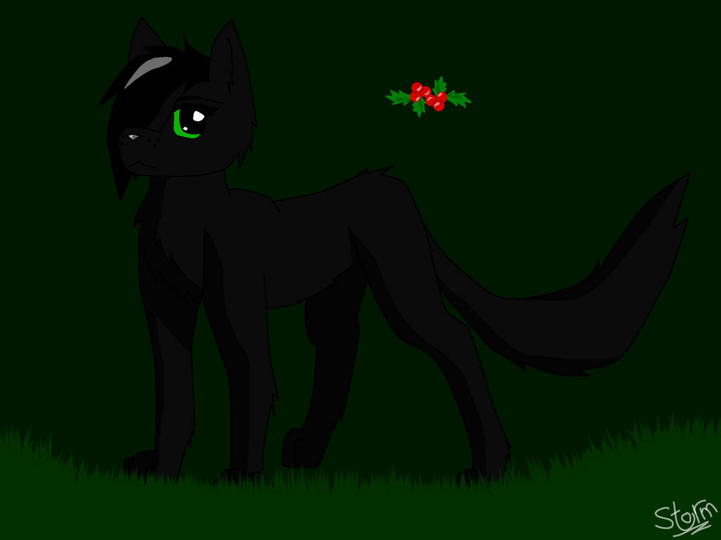 Hollyleaf