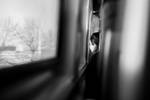 Train journey by DaniRDA