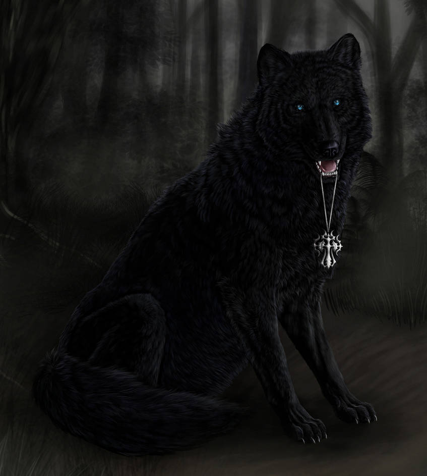 Рассказы большой черный. Блэк Вульф волчица. Черный волк. Красивый черный волк. Красивая черная волчица.