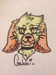 Gabbi headshot 