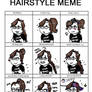 Hairstyle MEME