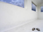 white by Pheion