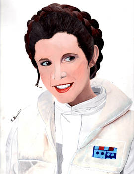 Princess Leia Painting (Tribute to Carrie Fisher)