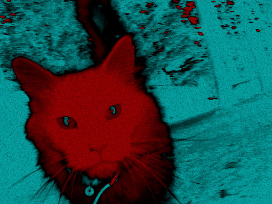 Red Cat by KasumiSora on DeviantArt