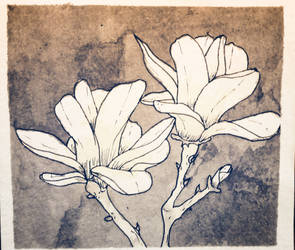 Coffee and Ink Blossoms