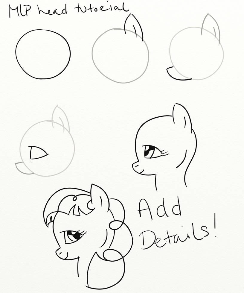 MLP head turtorial by HuckleberryPony on DeviantArt