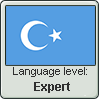 Uyghur language level EXPERT