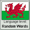 Welsh language level RANDOM WORDS