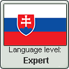 Slovak language level EXPERT