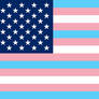 Trans US flag - variant 2
