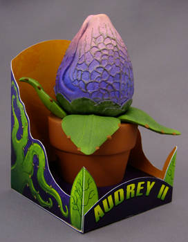 Audrey II seedling